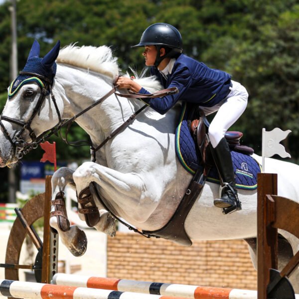 Brasília Country Clube recebe 2ª etapa do Ranking de Salto da Federação Hípica de Brasília