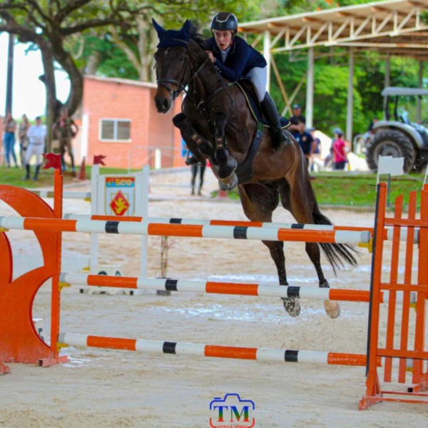 Copa Brasília celebra aniversário da capital federal na Sociedade Hípica de Brasília