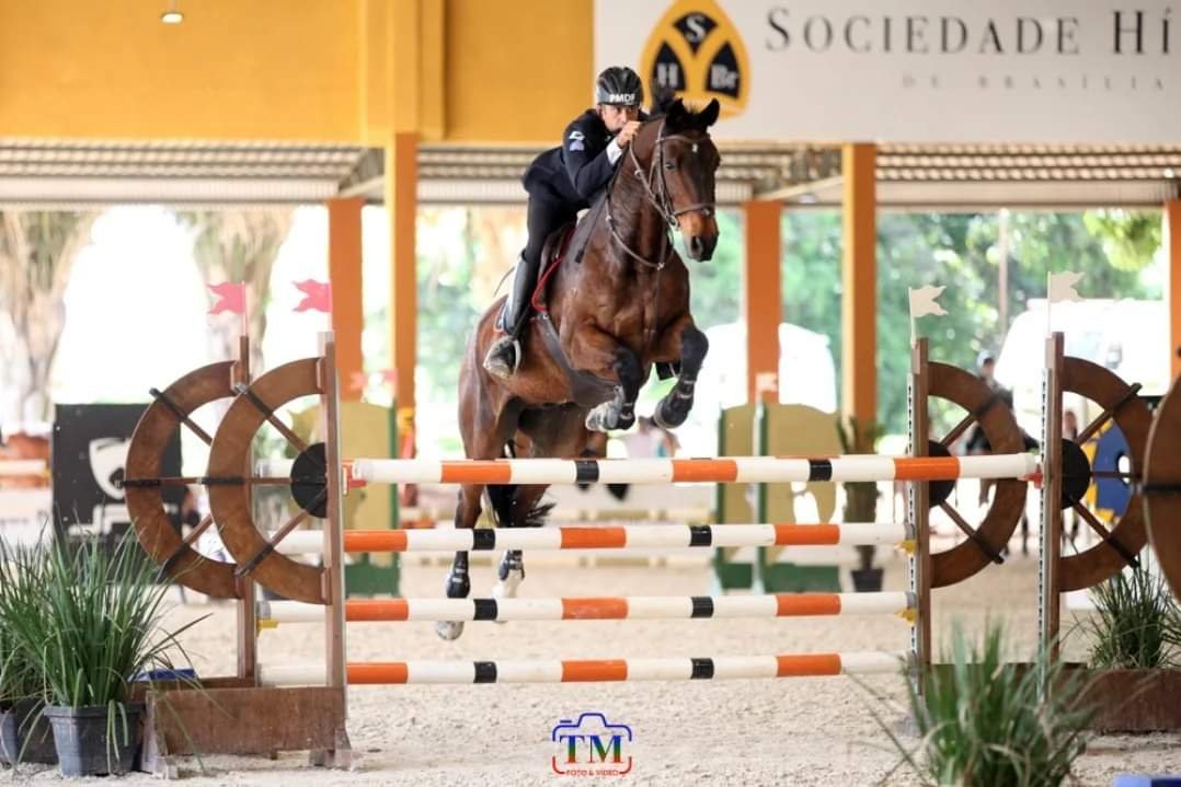 XXXVIII Concurso de Salto Coronel Rabelo movimenta o hipismo brasiliense no Regimento de Polícia Montada