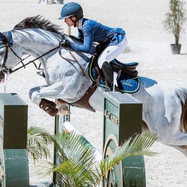 Capital Show 2026 reúne competições nacionais e internacionais de hipismo em Brasília